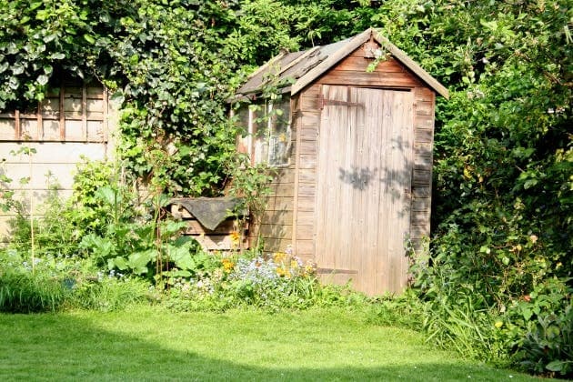 Garden Clearance